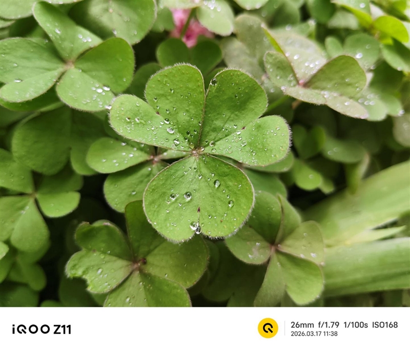 全大核性能旗舰 iQOO Z11 深度评测：165Hz 丝滑体验 游戏党真正的性价比利器