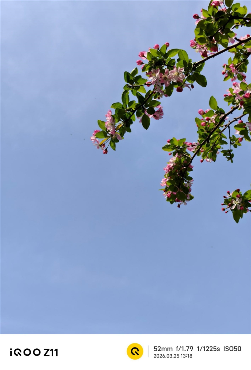 全大核性能旗舰 iQOO Z11 深度评测：165Hz 丝滑体验 游戏党真正的性价比利器