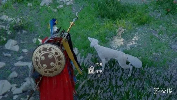 《红色沙漠》萨路基猎犬位置详解