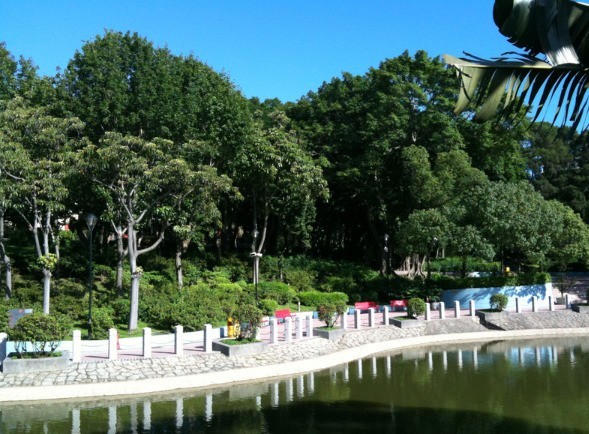 从iPhone 4暴涨80倍说开去 为何我们更爱老手机拍的老照片