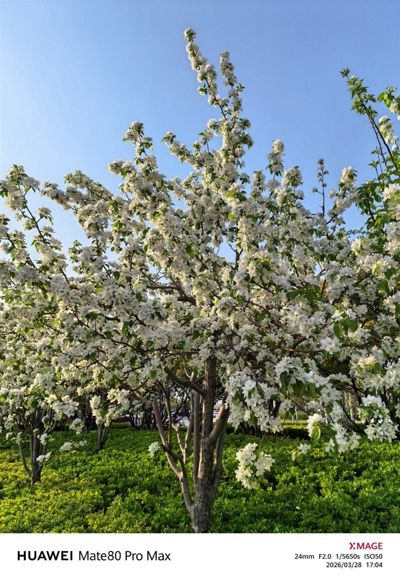 最强麒麟芯+自研风冷 华为Mate80 Pro MAX 风驰版全面评测：涡轮散热封神 性能稳到骨子里