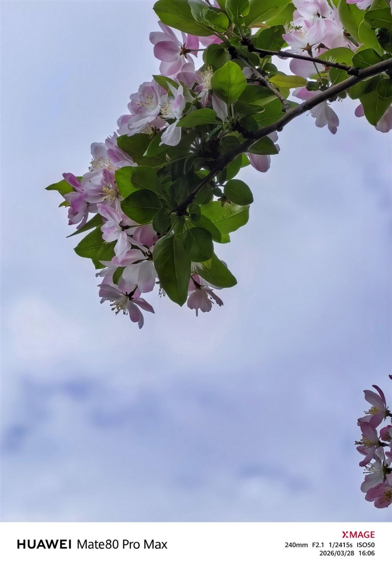 最强麒麟芯+自研风冷 华为Mate80 Pro MAX 风驰版全面评测：涡轮散热封神 性能稳到骨子里