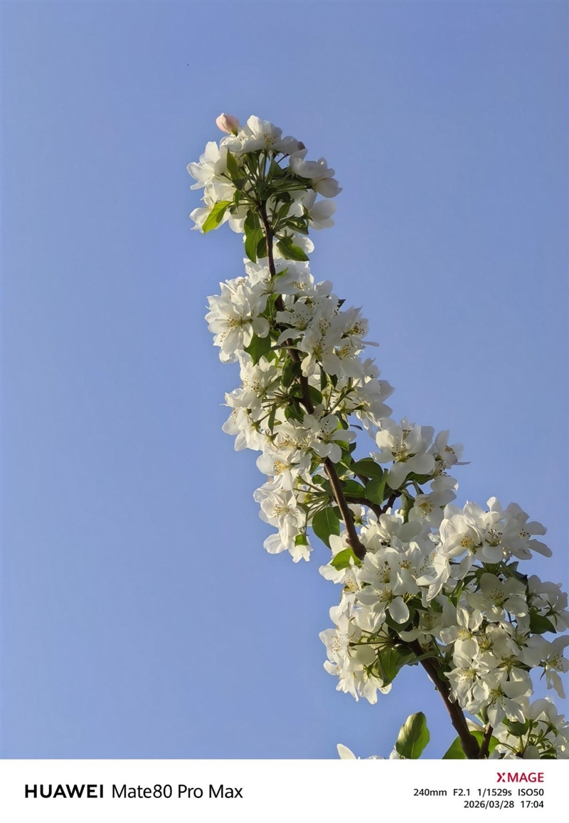 最强麒麟芯+自研风冷 华为Mate80 Pro MAX 风驰版全面评测：涡轮散热封神 性能稳到骨子里