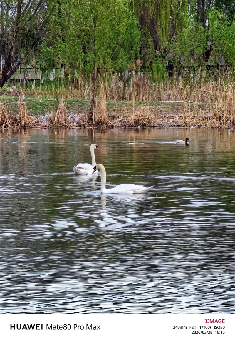 最强麒麟芯+自研风冷 华为Mate80 Pro MAX 风驰版全面评测：涡轮散热封神 性能稳到骨子里