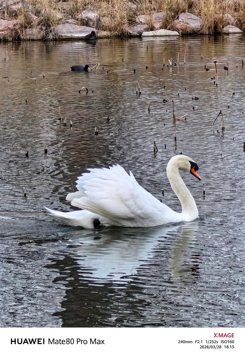 最强麒麟芯+自研风冷 华为Mate80 Pro MAX 风驰版全面评测：涡轮散热封神 性能稳到骨子里