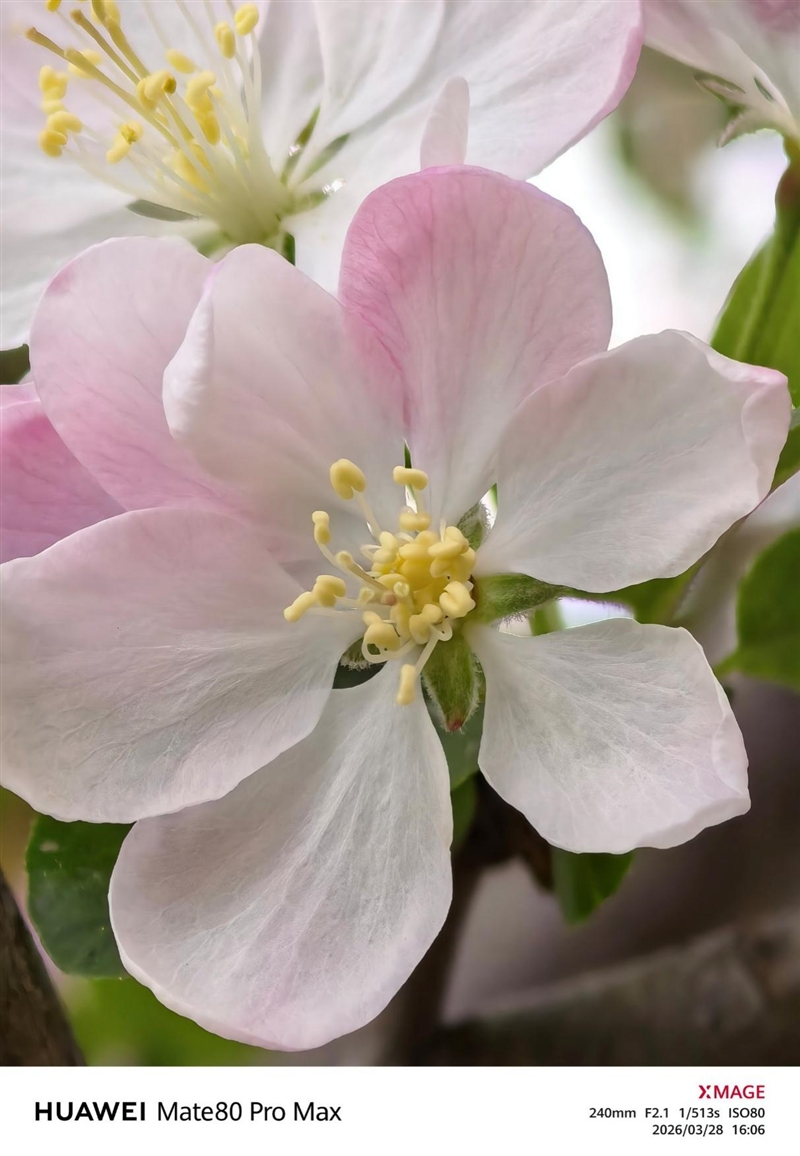 最强麒麟芯+自研风冷 华为Mate80 Pro MAX 风驰版全面评测：涡轮散热封神 性能稳到骨子里