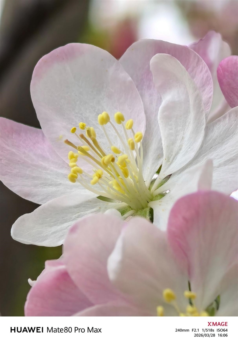 最强麒麟芯+自研风冷 华为Mate80 Pro MAX 风驰版全面评测：涡轮散热封神 性能稳到骨子里