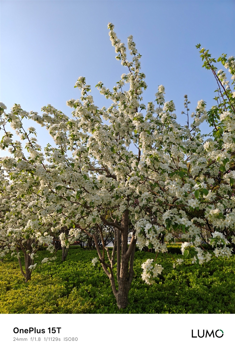 小屏不妥协配置反升级！一加15T手机深度评测：小巧玲珑的满血性能旗舰