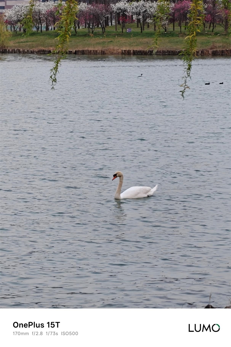 小屏不妥协配置反升级！一加15T手机深度评测：小巧玲珑的满血性能旗舰