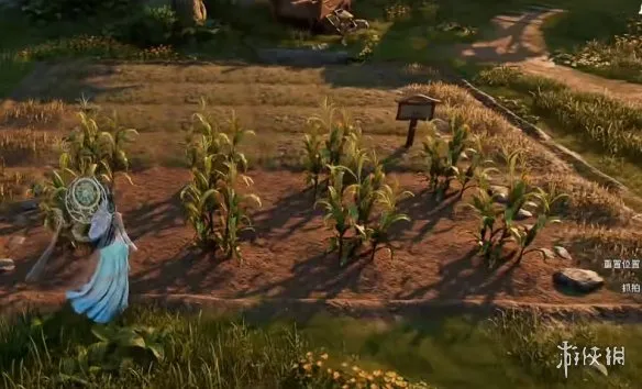 《王者荣耀世界》傲火隼打法详解