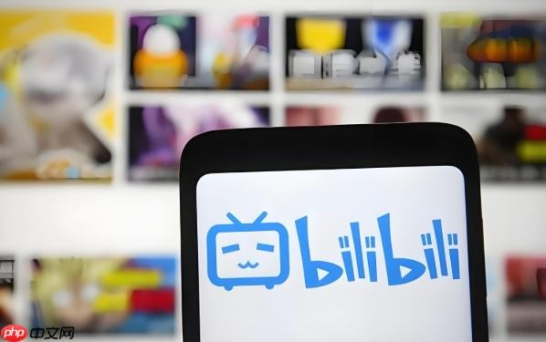 bilibili网页版直达入口-B站官网最新访问地址