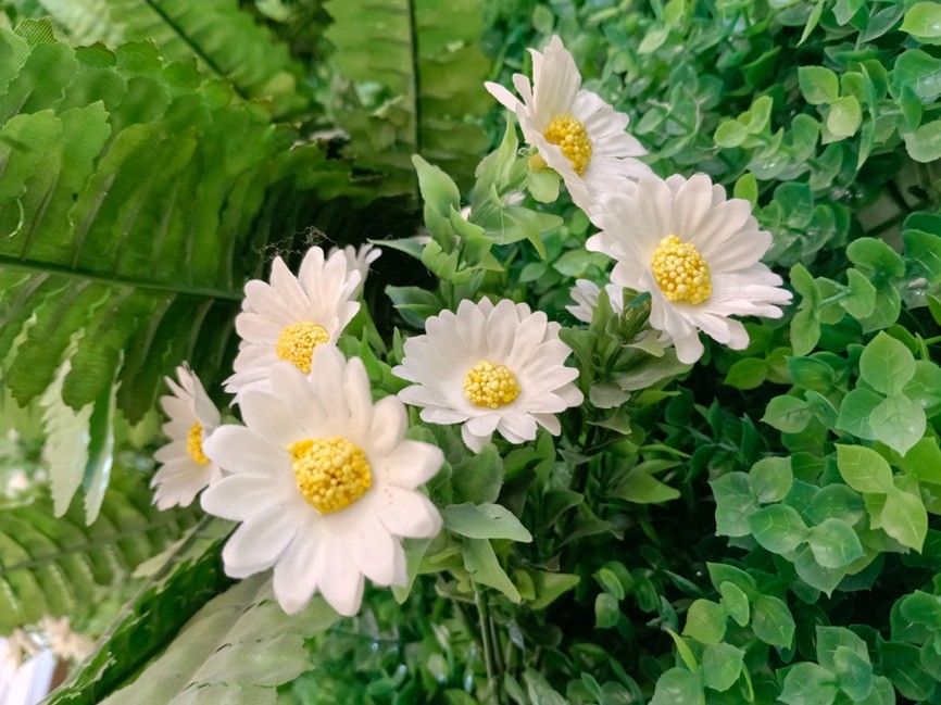 OPPO A6s Pro上手体验:流畅+抗造我全都要