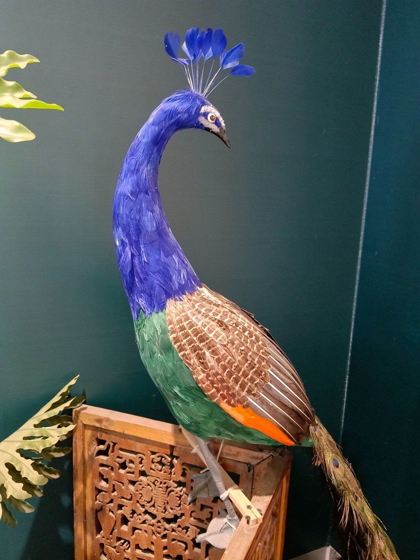 OPPO A6s Pro上手体验:流畅+抗造我全都要