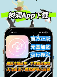 树洞app如何联系客服