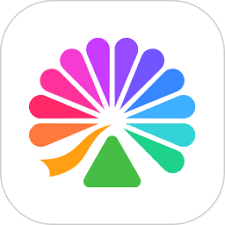 大麦在线购票入口在哪